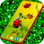 Logo of Cute Ladybug Live Wallpaper android Application 