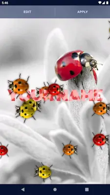 Cute Ladybug Live Wallpaper android App screenshot 6